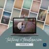 Texturas y Tonalización